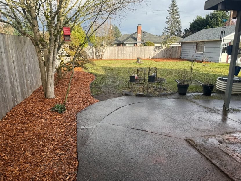 Backyard corner with a mature tree and fence