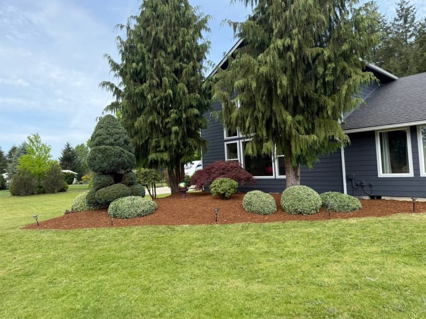 Manicured shrubs and mulch beds in a front yard