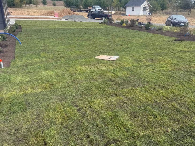 Freshly laid sod lawn with installation equipment