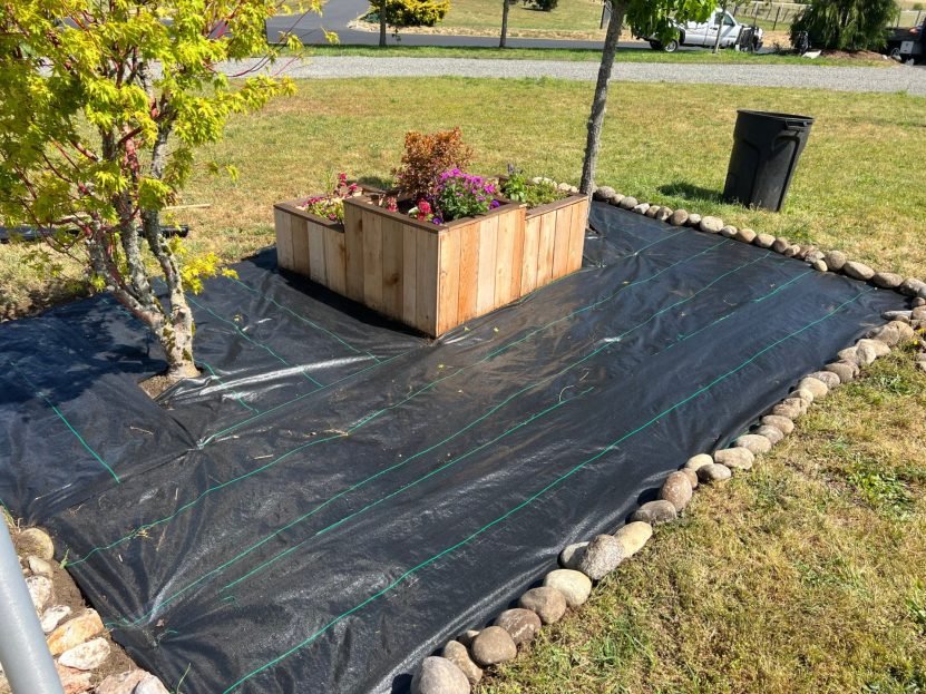 Raised garden bed with flowers on landscape fabric