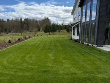 Mowed lawn beside a modern black and glass house